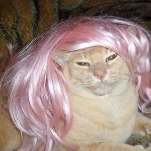 Meet your Posher, Cathlin